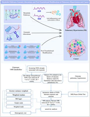 Metabolic pathways, genomic alterations, and post-translational modifications in pulmonary hypertension and cancer as therapeutic targets and biomarkers